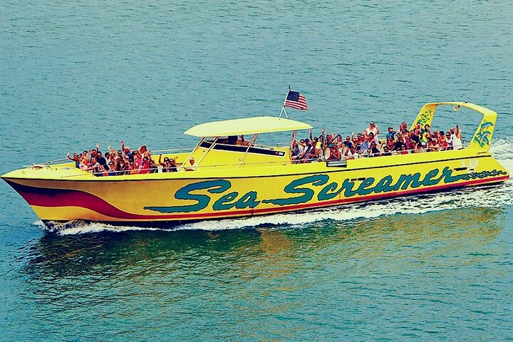 Clearwater Beach Day Tour and Dolphin Watch Boat from Orlando - Photo 1 of 5